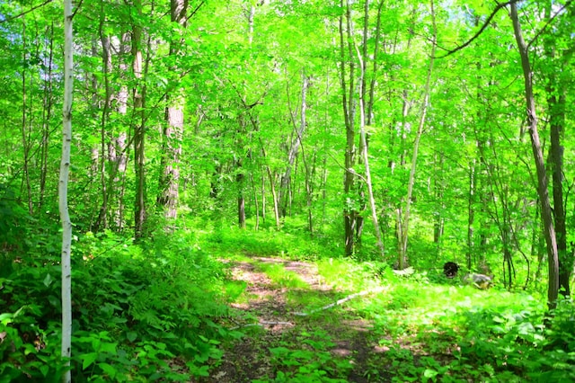 27589 Norway Trl, Cushing Twp, MN 56475