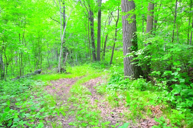 27589 Norway Trl, Cushing Twp, MN 56475
