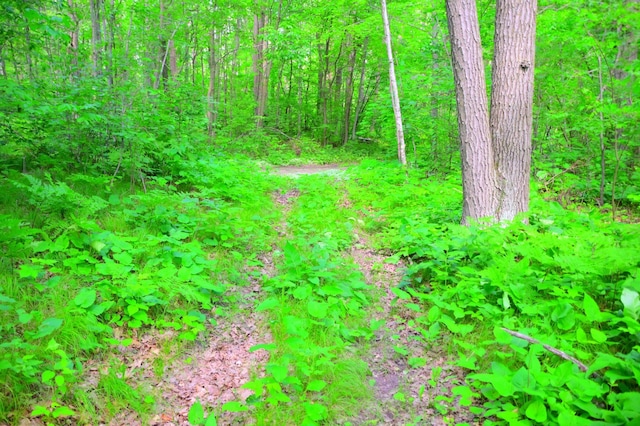 27589 Norway Trl, Cushing Twp, MN 56475
