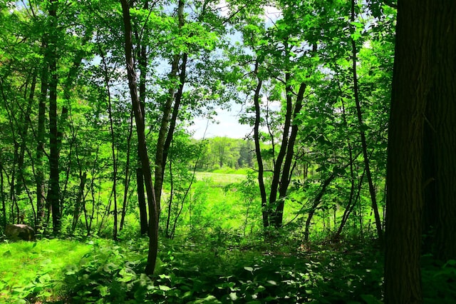 27589 Norway Trl, Cushing Twp, MN 56475
