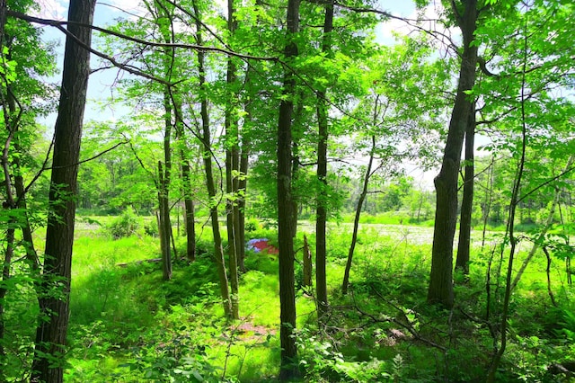 27589 Norway Trl, Cushing Twp, MN 56475