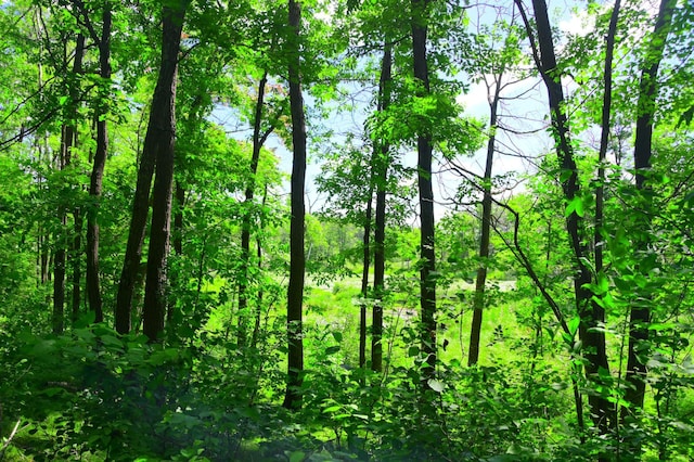 27589 Norway Trl, Cushing Twp, MN 56475