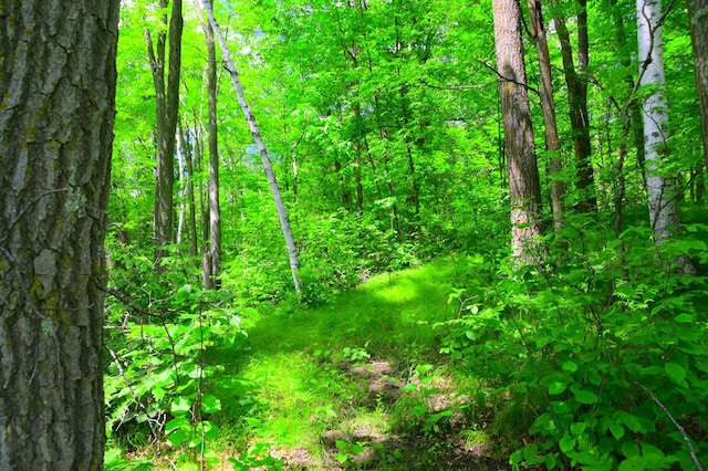 27589 Norway Trl, Cushing Twp, MN 56475