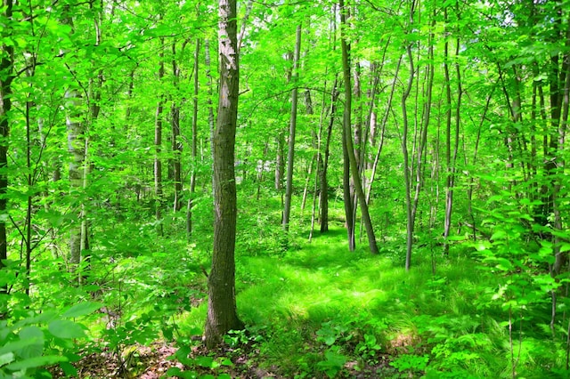 27589 Norway Trl, Cushing Twp, MN 56475