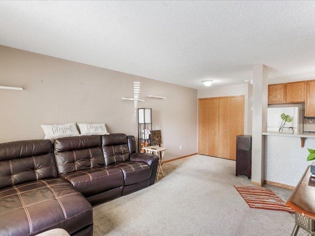 7087 139th Ave NW, Ramsey, MN 55303 - photo 4