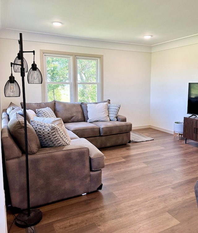 1555 US Highway 75, Lake Benton Twp, MN 56149 - living area with wood finished floors