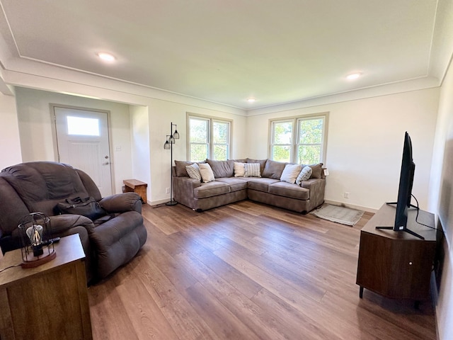 1555 US Highway 75, Lake Benton Twp, MN 56149 - living area featuring wood finished floors, ornamental molding, and recessed lighting