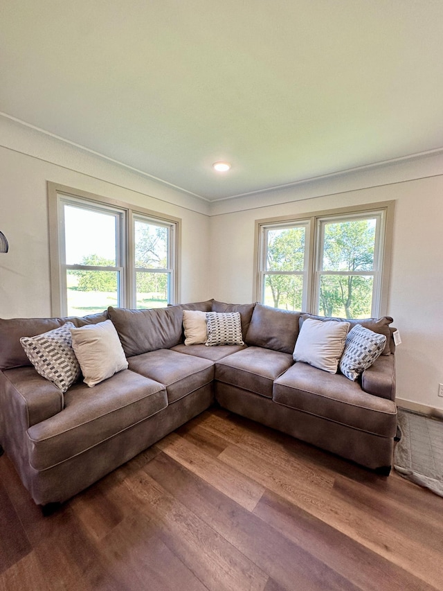 1555 US Highway 75, Lake Benton Twp, MN 56149 - living area featuring wood finished floors and ornamental molding