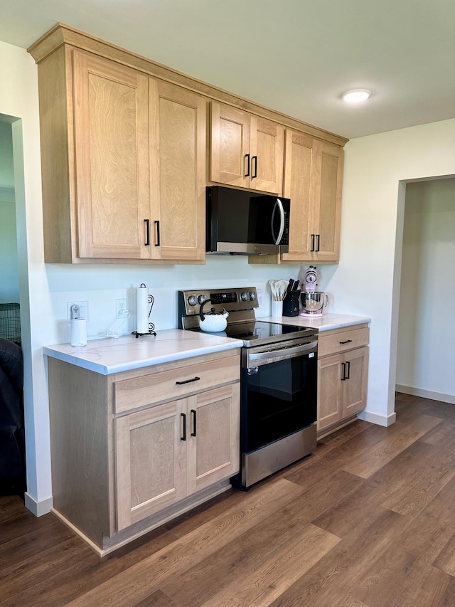 1555 US Highway 75, Lake Benton Twp, MN 56149 - kitchen with electric range, light brown cabinetry, light countertops, and dark wood-style flooring