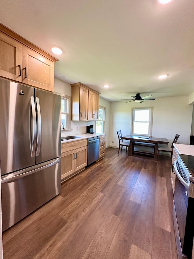 1555 US Highway 75, Lake Benton Twp, MN 56149 - kitchen with stainless steel appliances, light countertops, ceiling fan, dark wood-type flooring, and healthy amount of natural light