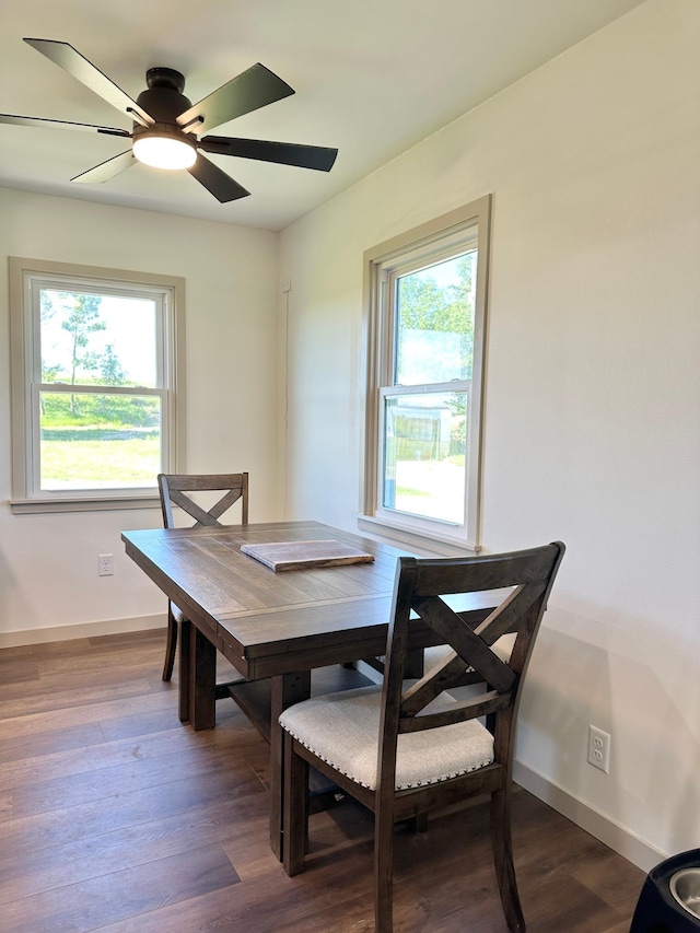 1555 US Highway 75, Lake Benton Twp, MN 56149 - dining space featuring dark wood-style floors and ceiling fan