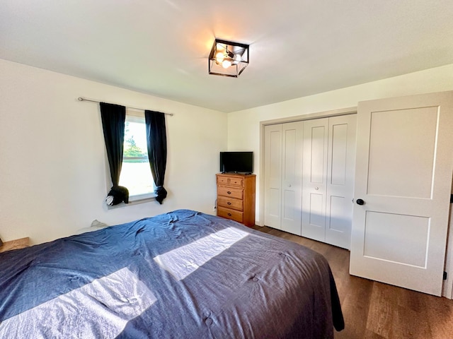1555 US Highway 75, Lake Benton Twp, MN 56149 - bedroom with wood finished floors and a closet