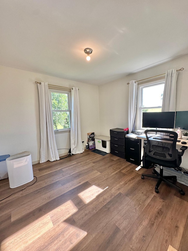 1555 US Highway 75, Lake Benton Twp, MN 56149 - office featuring wood finished floors