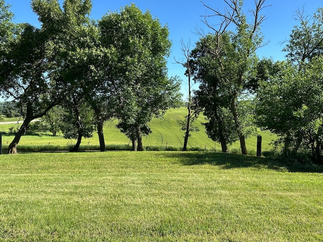 1555 US Highway 75, Lake Benton Twp, MN 56149 - view of green lawn