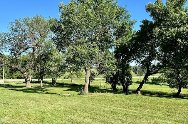 1555 US Highway 75, Lake Benton Twp, MN 56149 - view of grassy yard