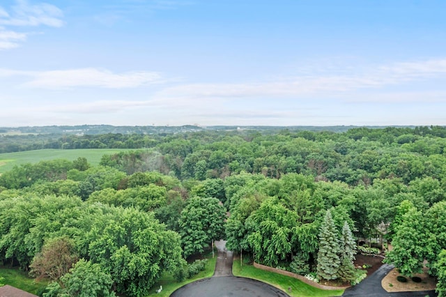 2425 Peace Cir, Shakopee, MN 55379 - photo 2