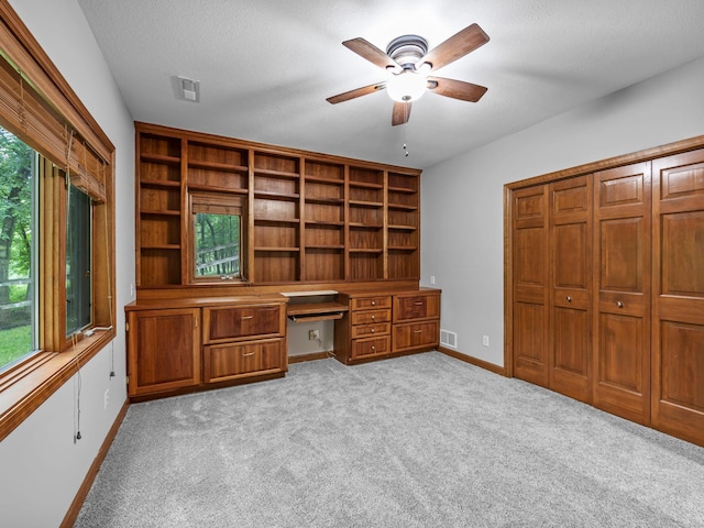 2425 Peace Cir, Shakopee, MN 55379 - photo 39