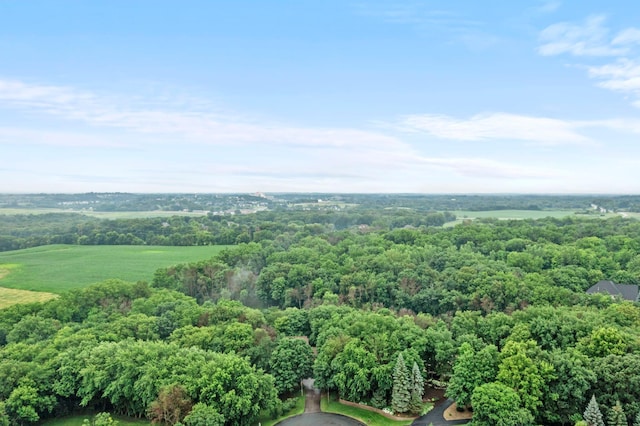 2425 Peace Cir, Shakopee, MN 55379 - photo 64