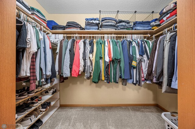 817 16th Avenue Ct W, West Fargo, ND 58078 - spacious closet with carpet floors