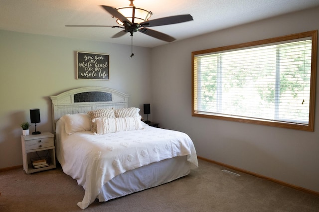 209 Meadow Sweet Pl, Watertown, MN 55388 - photo 23