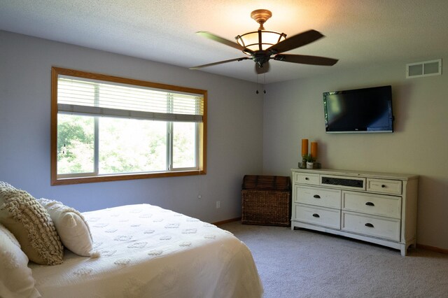 209 Meadow Sweet Pl, Watertown, MN 55388 - photo 24