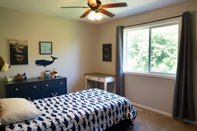 209 Meadow Sweet Pl, Watertown, MN 55388 - photo 28