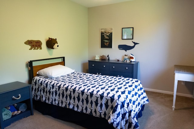 209 Meadow Sweet Pl, Watertown, MN 55388 - photo 29