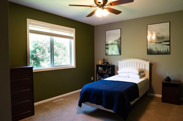 209 Meadow Sweet Pl, Watertown, MN 55388 - photo 30
