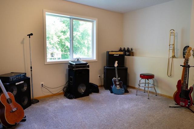 209 Meadow Sweet Pl, Watertown, MN 55388 - photo 39
