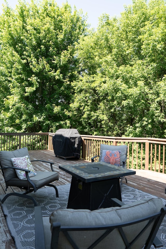 209 Meadow Sweet Pl, Watertown, MN 55388 - photo 45
