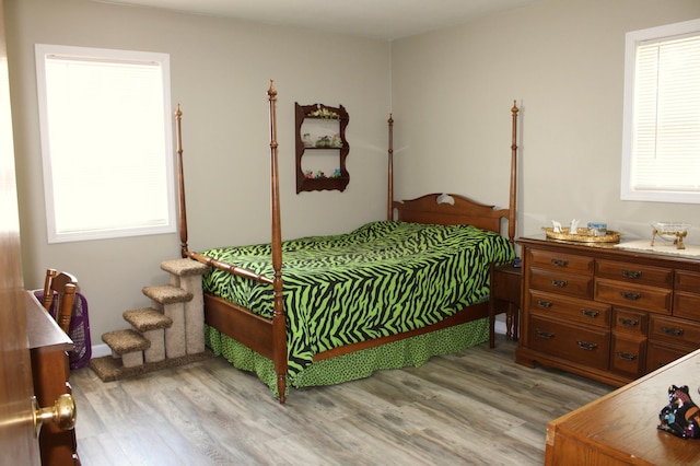 103 Spruce Ave N, Thief River Falls, MN 56701 - photo 10