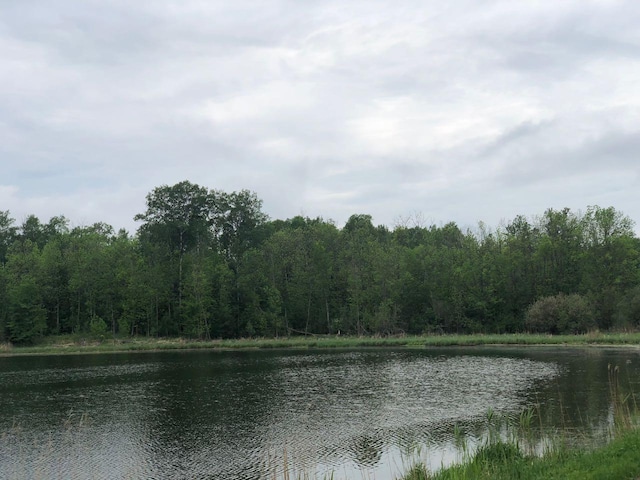 9A Hines Rd NE, Hines, MN 56647