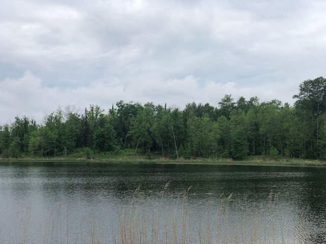 9A Hines Rd NE, Hines, MN 56647