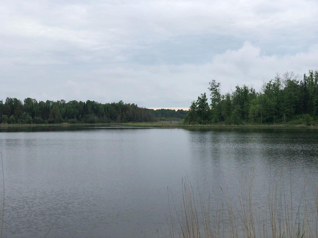 9A Hines Rd NE, Hines, MN 56647