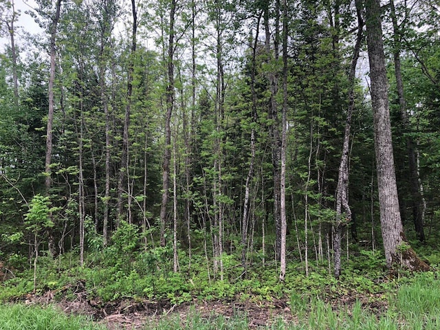 9A Hines Rd NE, Hines, MN 56647