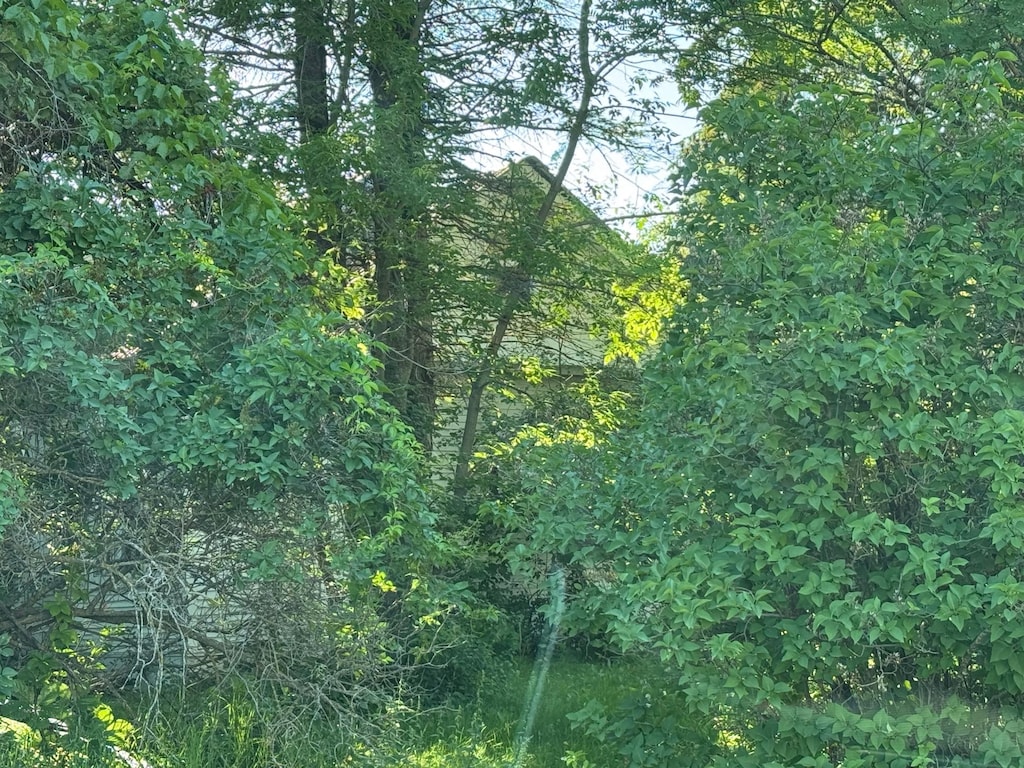 73 2nd St SE, Blackduck, MN 56630 - view of wooded area