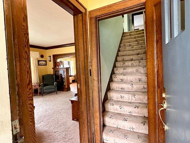 221 3rd St, Moose Lake, MN 55767 - photo 27