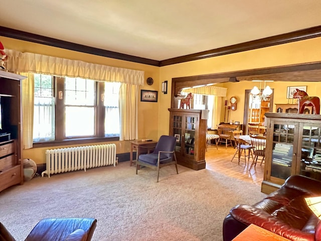 221 3rd St, Moose Lake, MN 55767 - photo 16