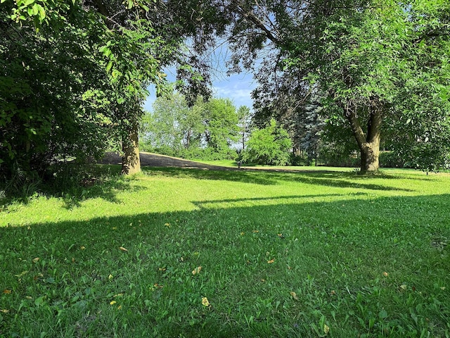 10221 Hage Dr, Corcoran, MN 55374 - photo 33