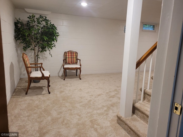 905 Carver St N, Winthrop, MN 55396 - photo 27