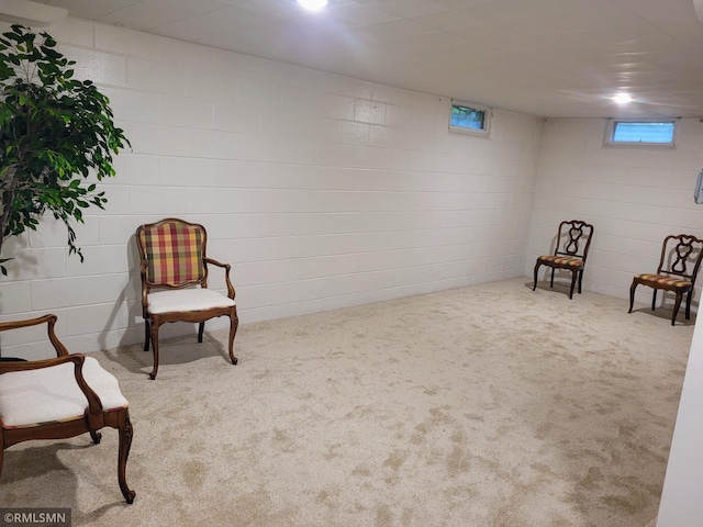905 Carver St N, Winthrop, MN 55396 - photo 28