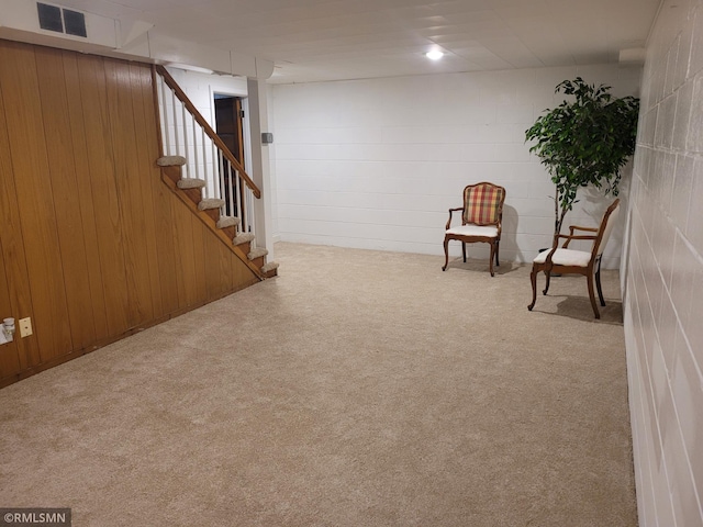 905 Carver St N, Winthrop, MN 55396 - photo 29