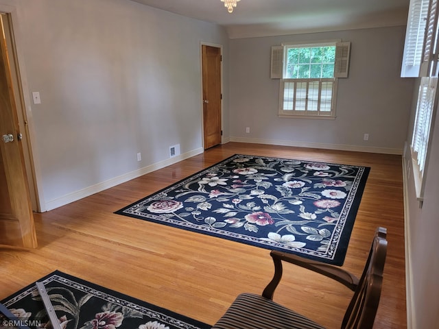 905 Carver St N, Winthrop, MN 55396 - photo 40