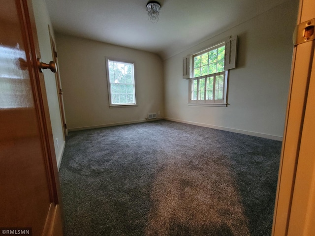 905 Carver St N, Winthrop, MN 55396 - photo 52