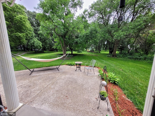 905 Carver St N, Winthrop, MN 55396 - photo 60