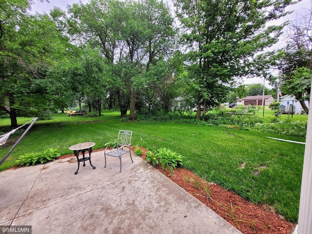 905 Carver St N, Winthrop, MN 55396 - photo 61