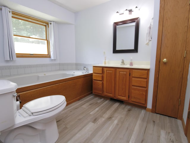 237 Plainview Dr, Troy Twp, WI 54022 - bathroom featuring vanity, a bath, and wood finished floors