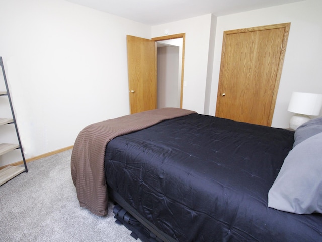 237 Plainview Dr, Troy Twp, WI 54022 - bedroom featuring carpet and a closet