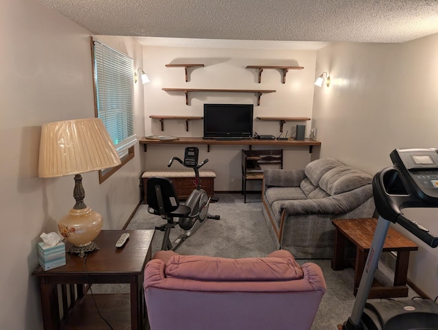 220 Hamberg St, Litchfield, MN 55355 - photo 8