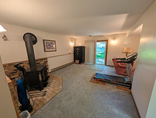 220 Hamberg St, Litchfield, MN 55355 - photo 11